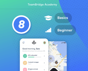 app.teambridge